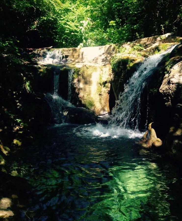 Casa Del'Orto Villa Bigliolo Dış mekan fotoğraf